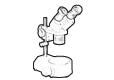 Stereomicroscopen