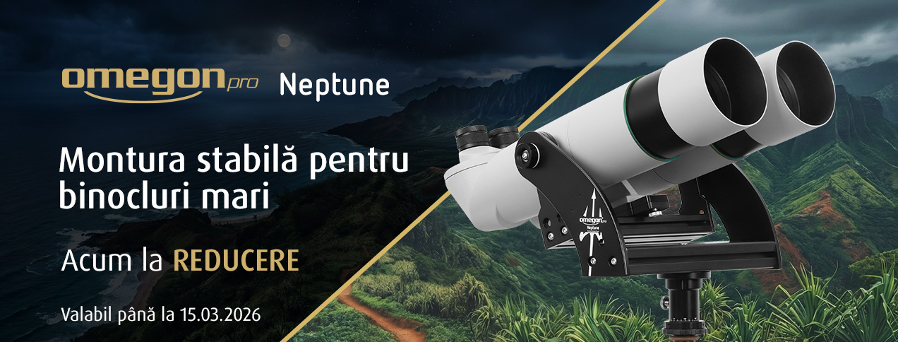 Neptune Sale