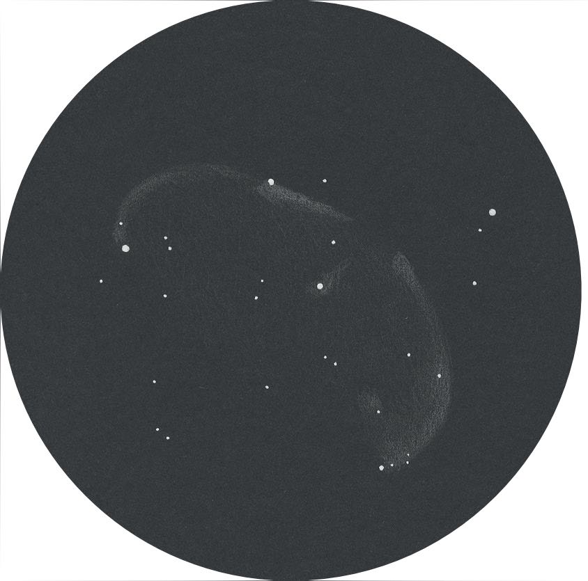 Zeichnung von NGC 6888 bei leicht aufgehelltem Landhimmel mit einem 600mm Newton. Daniel Spitzer