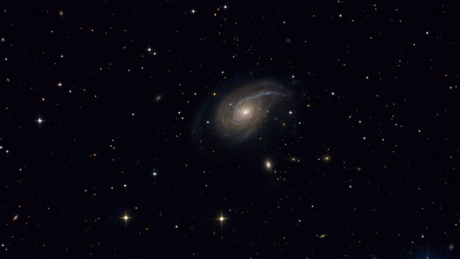The spiral galaxy NGC 772