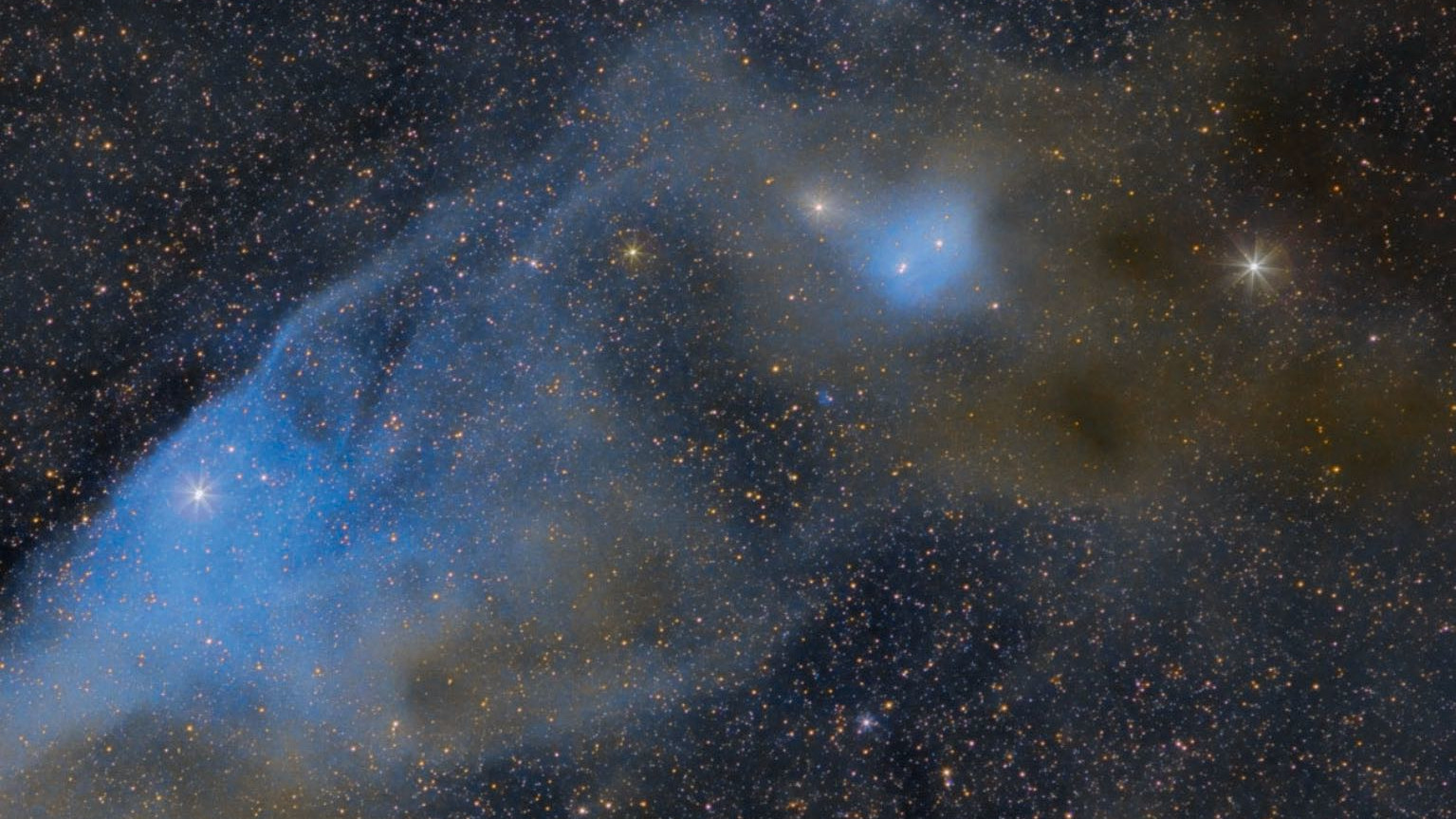 The Blue Horsehead Nebula IC 4592 in Scorpius (north
 is at the bottom). The star ν Scorpii is located on the bridge of the nose and provides the bluish colour. Below the horse’s ears you can see the equally bluish nebula IC 4601. Scott Rosen
