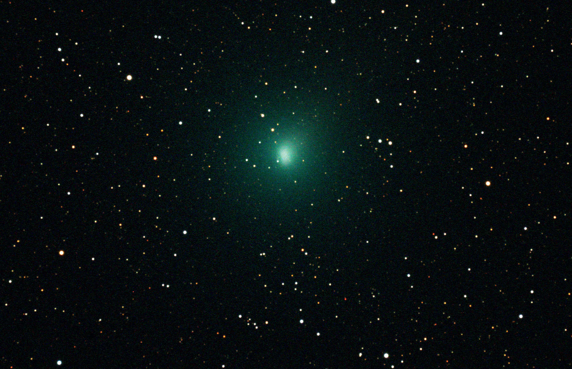 oder man richtet die Aufnahme an den Sternen
aus, so dass diese punktförmig erscheinen, der Kometenkopf aber weniger scharf abgegrenzt ist (b).
Die Rohdaten entstanden am 11.10.2010 mit einer gekühlten CCD-Kamera vom Typ SBIG ST-4000XCM
an einem Takahashi TOA-130. Die Summenbilder sind je aus acht Einzelaufnahmen mit einer Belichtungszeit
von je 120 Sekunden zusammengesetzt.