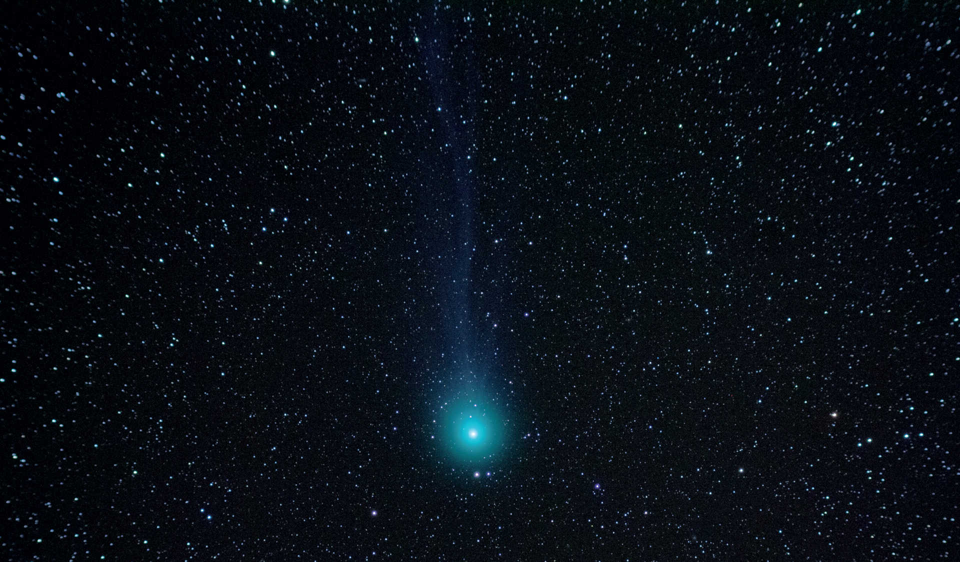 A particular challenge in comet photography is to make the comet tail visible. In this image from 7.2.2015, comet C/2014 Q2 (Lovejoy) displays its faint tail. The picture was taken with a Canon DSLR on a Takahashi FS-60 (focal length: 355mm; F/5.9). The composite picture consists of five images, each with an exposure time of 120 seconds. U. Dittler