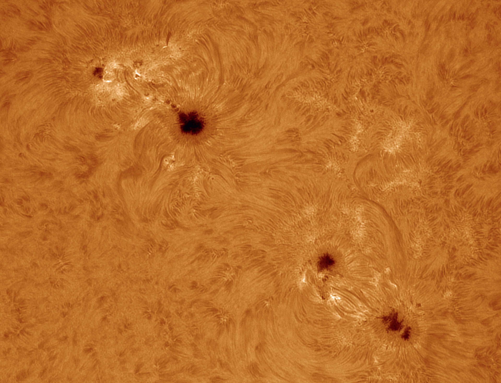 Solfläckar i Hα-ljus. Taget med ett Coronado Solarmax90-filter på en refraktor med brännvidd 2 000 mm, öppning: 90 mm; okyld
CCD-kamera; 500 av 2 500 enskilda bilder bearbetade i AviStack2 och Photoshop. U. Dittler
