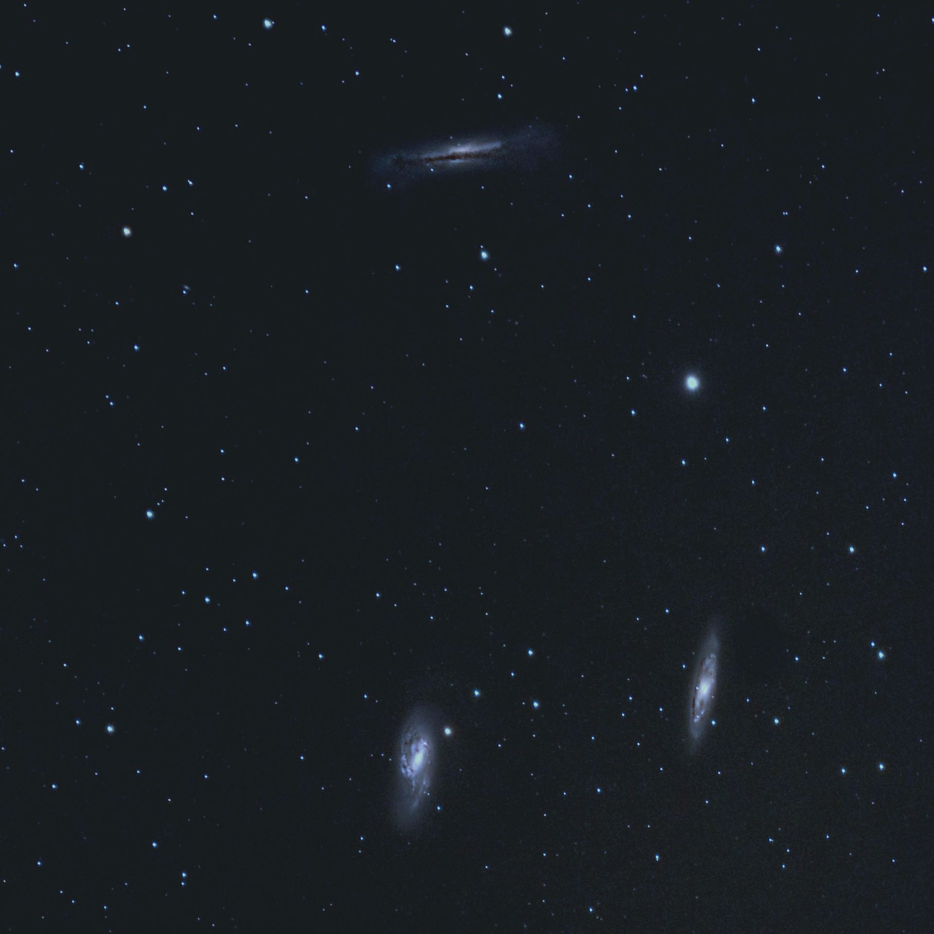 Two highlights and a challenge: M66 (bottom left), M65 and NGC 3628 (top). H. Fischer