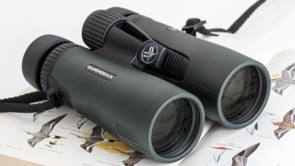 Cerco un binocolo per il bird watching