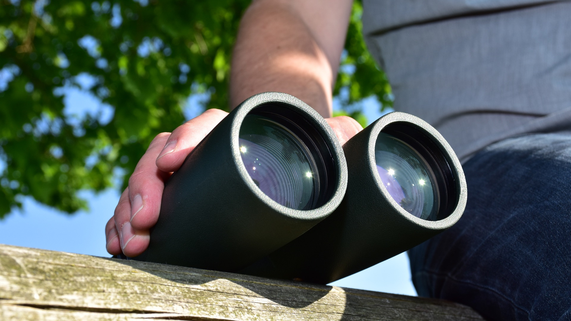 Fernglas Liegend Hand Blaetter Schraeg Unten