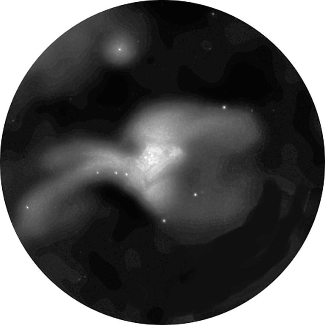 A Nebulosa de Oríon é também um objeto maravilhoso de observar no telescópio: vista de M 42 num refletor com uma abertura de 150 mm. L. Spix