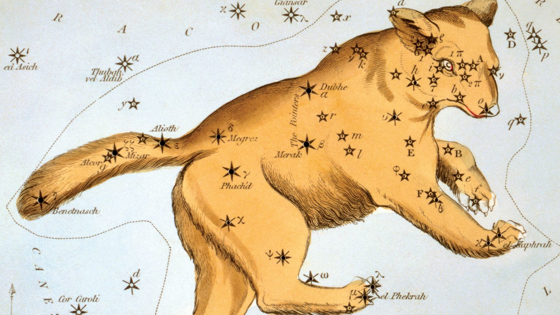 I den bakre delen av Stora björnen finns det mest kända stjärnmönstret (asterism): Karlavagnen.