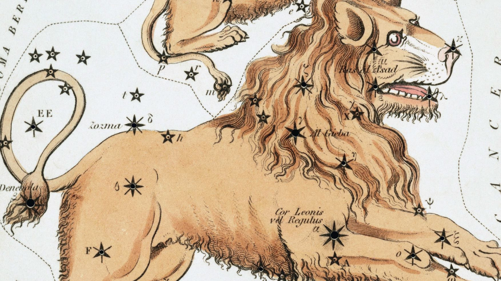 Alors que l’on détecte aujourd’hui une forme prononcée de fer à repasser, dans la constellation, les observateurs du ciel imaginaient il y a des millénaires un lion accroupi dont le cœur était marqué par l’étoile lumineuse Régulus.