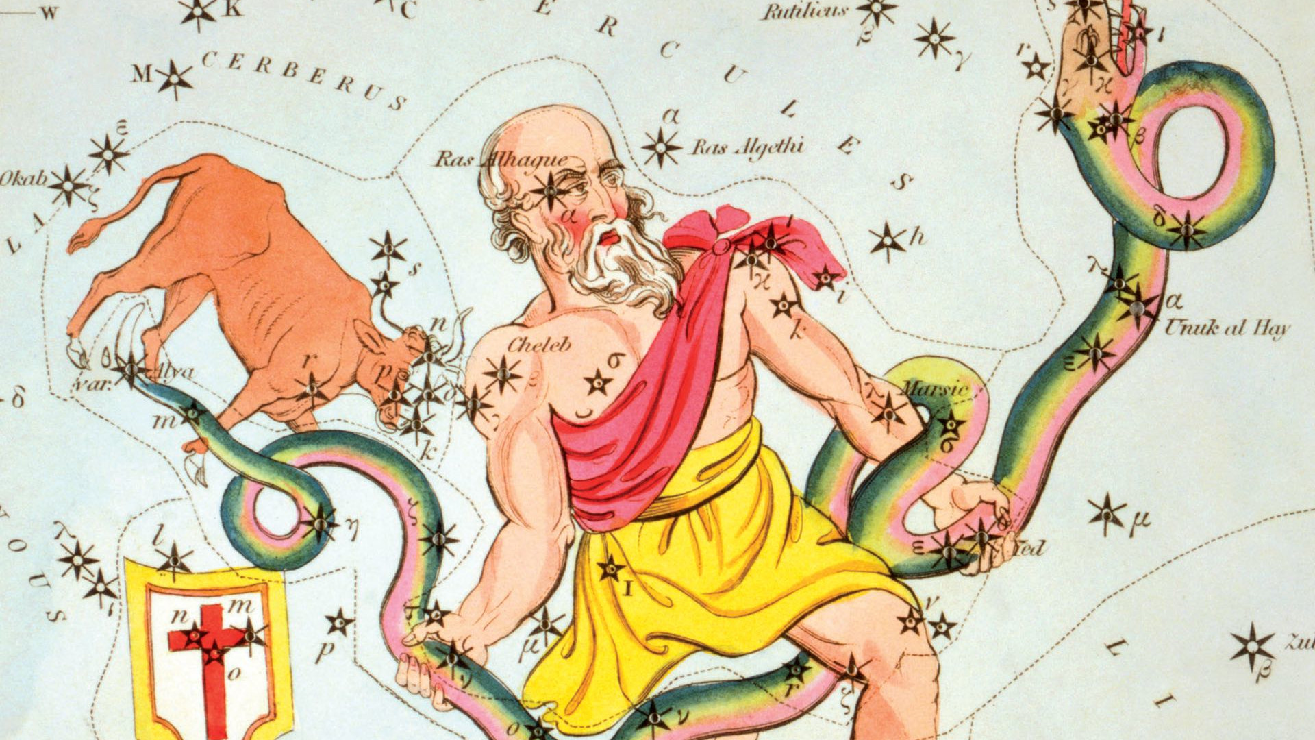 D’anciennes représentations montrent le Serpentaire avec la constellation du Taureau de Poniatowski, aujourd’hui perdue.
