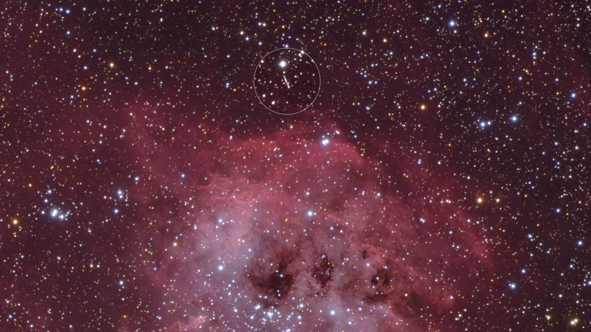 A typical image near the ecliptic: the minor planet 81 Terpsichore (marked with a circle) causes a bright trail on this image of the nebula IC 410. M. Weigand