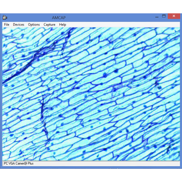 Omegon Microscopio MonoView, MicroStar, achromat, 1280x, LED