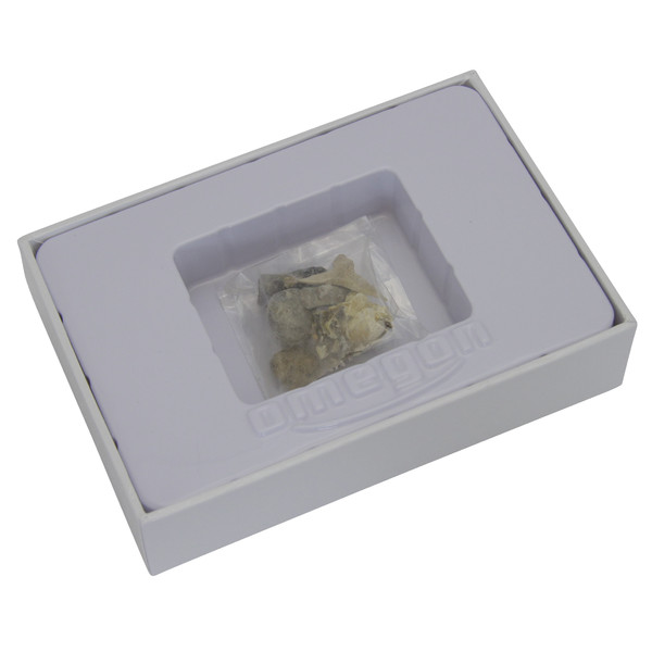 Omegon Mini Kit de fósseis