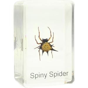 Omegon objektglas taggig spindel