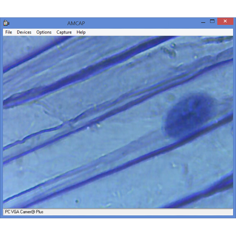 Omegon Microscópio Conjunto de Microscopia, MonoView 1200x, Câmara, Trabalho Padrão de Microscopia, Equipamento de Preparação