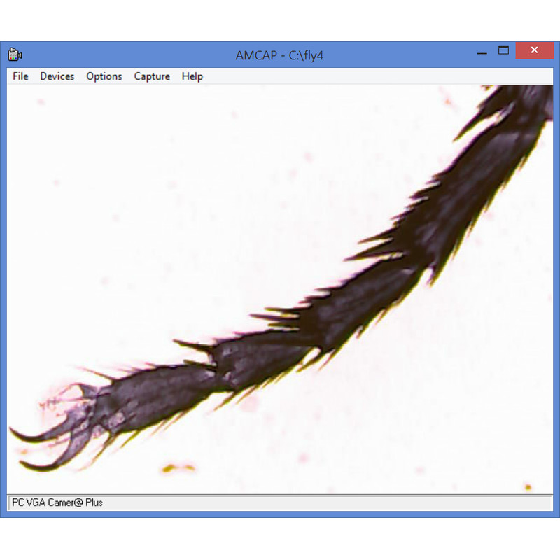 Omegon Microscope set, 1200x MonoView, camera, best selling introduction to microscopy, preparation equipment