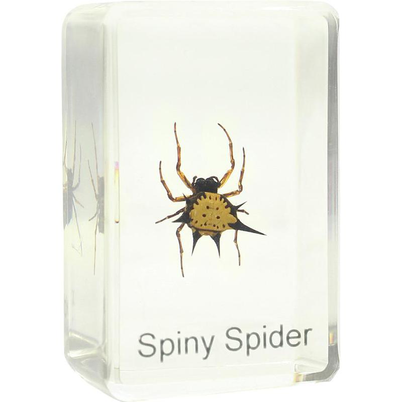 Omegon Preparat Spiny Spider