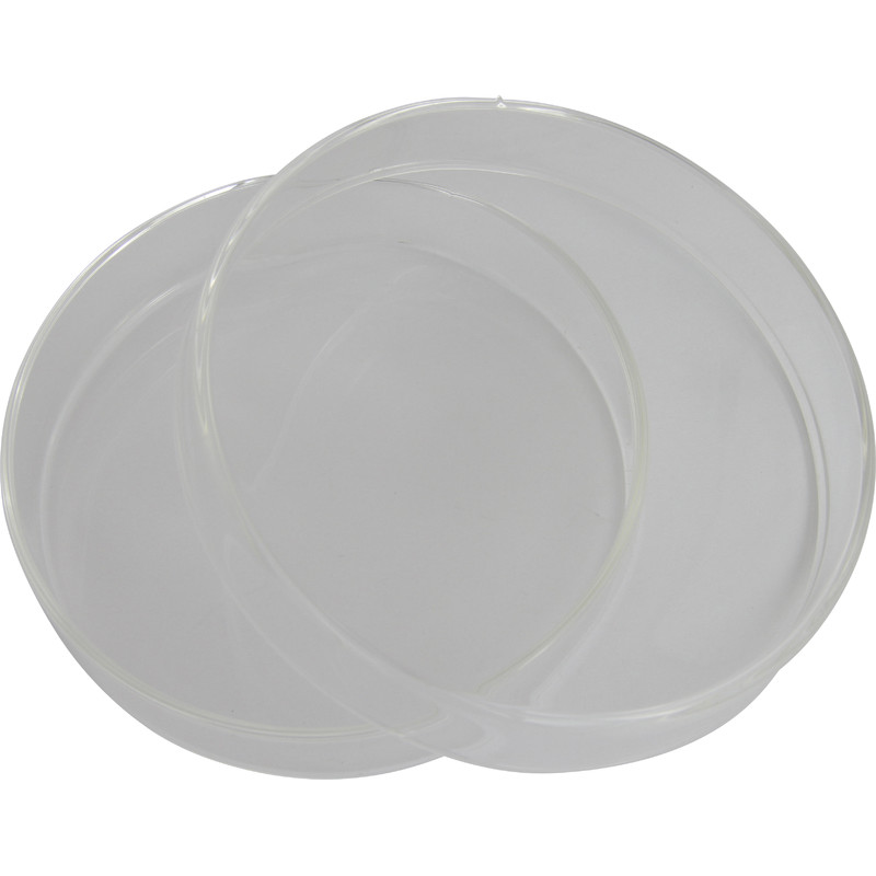 Omegon Placa de Petri 100 mm em vidro com tampa