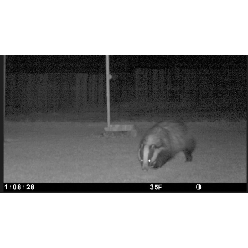 Omegon Kamera do obserwacji dzikich zwierząt Digital Trail Camera 5MP