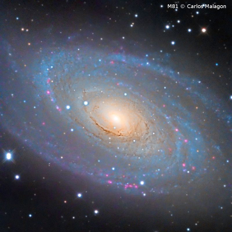 Omegon Telescope Pro Ritchey-Chretien RC 254/2000 EQ6-R Pro