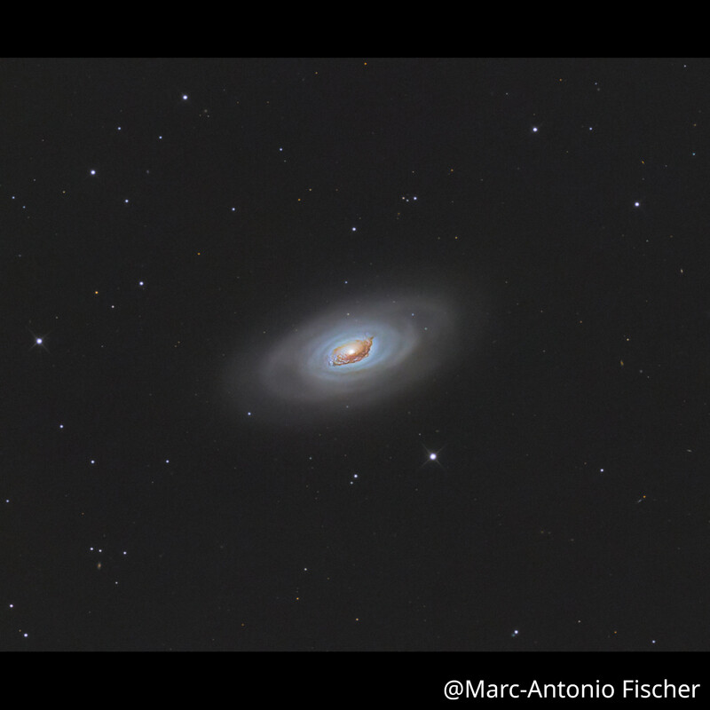 Omegon Telescope Pro Astrograph 254/1016 OTA
