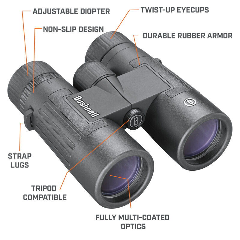 Bushnell Binoculares Legend 8x42 Dachkant, schwarz, FMC